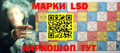 стафф Гай
