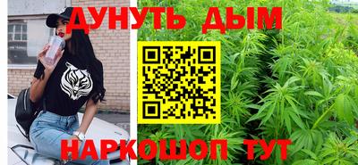 стафф Гай