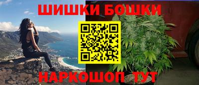 стафф Гай