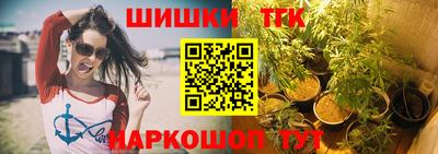 стафф Гай