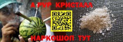 стафф Гай