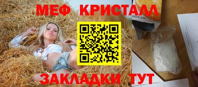 стафф Гай