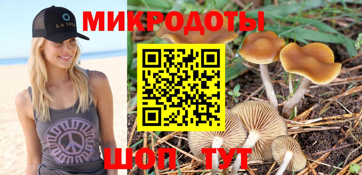 Галлюциногенные грибы Psilocybe  наркошоп  Новочебоксарск  Вход с VPN 