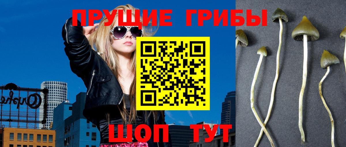 Псилоцибиновые грибы Magic Shrooms Новочебоксарск